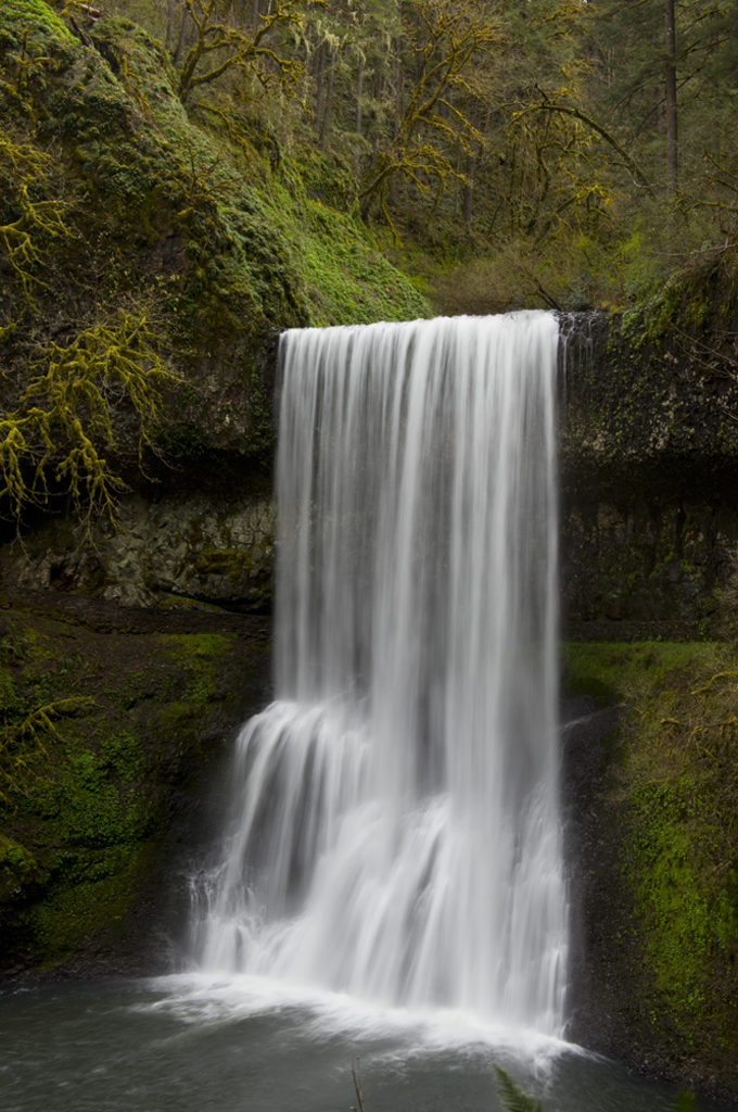 Image of Lower South Falls in Silver Falls State Park